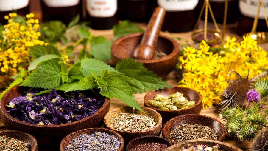 The 7 Best Herbs That Help Balance Hormones