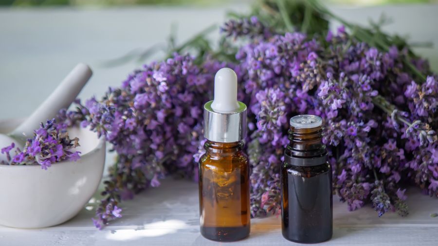 Lavender Essential Oil: Nature's Soothing Elixir for Relaxation and Stress Relief